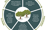 Landscapes of High Value — Changing Dynamics of Agroforestry on the Iberian Peninsula