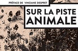 Sur la piste animale