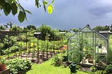 Allotments: Can a British pastime help solve the looming food crisis in our cities?