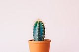 What Is Garden Leave and When Should You Use It?