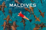 รีวิว มัลดีฟส์ (Maldives) 3 วัน 2 คืน งบคนละ 8,550 ไปว่ายน้ำกับฉลามกัน