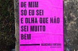 Lambe rosa colado numa parede gasta, com os versos “de mim só eu sei e olha que não sei muito bem”, de Marcinha Fontana.