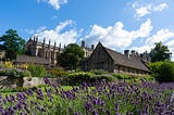 You’re about to be an Oxford graduate. What’s next?