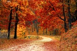 3 ways to harness the energy of the Autumn Equinox to balance and transform