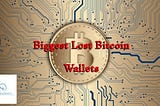 Biggest Lost Bitcoin Wallets