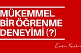 Mükemmel bir öğrenme deneyimi (?)