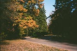 Film Photography