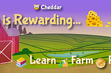 Cheddar Farm — stake tokens and Earn on Near Protocol!