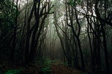 Short Story: Out of the Woods