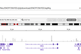 Using the integrative genomics viewer (IGV) in Angular