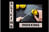 Drive into INDEXING vs SLICING  in Python