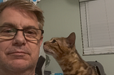 “Good Enough to Foster, Not Good Enough to Adopt” How I was Denied the Cat I Rehabilitated