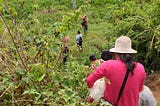 BUKIDNON and the River Ritual of the Talaandig Tribe