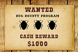 How Hackers Make a Living: Bug Bounty Edition