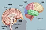 Understanding Hierarchical Temporal Memory