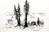 A picture of a pine sketch by Clifford Jones