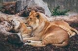 🌟🌟🌟 #ForwardThinkingLeadership: Finding Strength in Rest 🌟🌟🌟