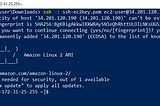 How to access AWS EC2 instance with SSH using Powershell from Windows OS.