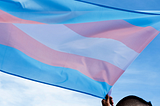 On Transgender Day of Visibility, We Cannot Allow This Administration to Erase Us