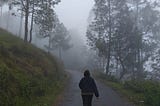 Mountains, Me and My Into The Wild Moments- Travel Musings