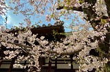 Beautiful Seasons in Japan - Spring