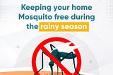 Keeping Your Home Mosquito-Free During The Rainy Season.