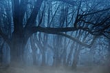 Why the Dark Forest Theory is (probably) wrong