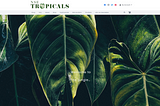 Re-designing NSE Tropicals