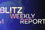 Weekly Report #1