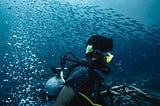 The beginning of my love affair with scuba diving — a short scuba diving course in Andaman