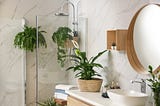 Water Conservation: Eco-Friendly Fixtures and Practices