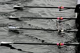 Oars in the water