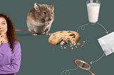 When You Give a Mouse a Cookie