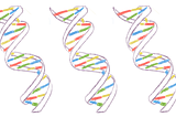 Heeft het CDC de PCR-test afgeschaft?