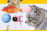 Best Toys For Cats in 2021