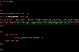 PyScript: Tarayıcıda Python Yaz!