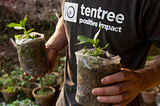 TENTREE : BRAND FOR BETTER FUTURE