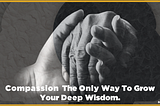 Only Way To Grow Your Wisdom. Compassion & Empathy.