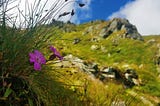 Rodnei Mountains, Pietrosu Peak [photo from personal library]