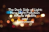 Nature’s Silent SOS: The Unseen Threat of Festive Lights