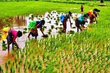 First Exclusive Farm Budget for Tamil Nadu | GetFarm Talks