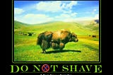 Don’t Shave that Yak!