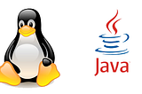 Managing multiple Java versions in Linux