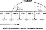 Application of Micro Rollback in VLSI Systems