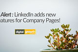 Alert : LinkedIn adds new features for Company Pages!