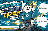 Make Your StarRocks Metadata Discoverable with DataHub