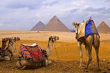 Esursioni al Cairo, Tour ed escursioni al Cairo
