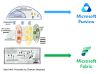 Scalable Data Management with Microsoft Fabric and Microsoft Purview