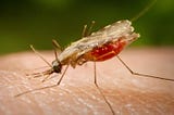 WHO ambition to reduce malaria case incidence by at least 90% in 2030