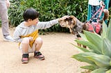 A smiling boy with ADHD enjoying a special moment with his loyal dog, representing the positive aspects and unique experiences of living with attention deficit hyperactivity disorder, as they bond and find solace in each other’s companionship.